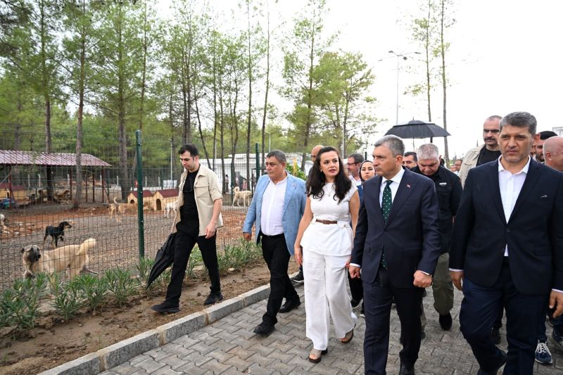 Aksu’da Sokak Hayvanları İçin Modern Tesis Açıldı - Toros Gazetesi