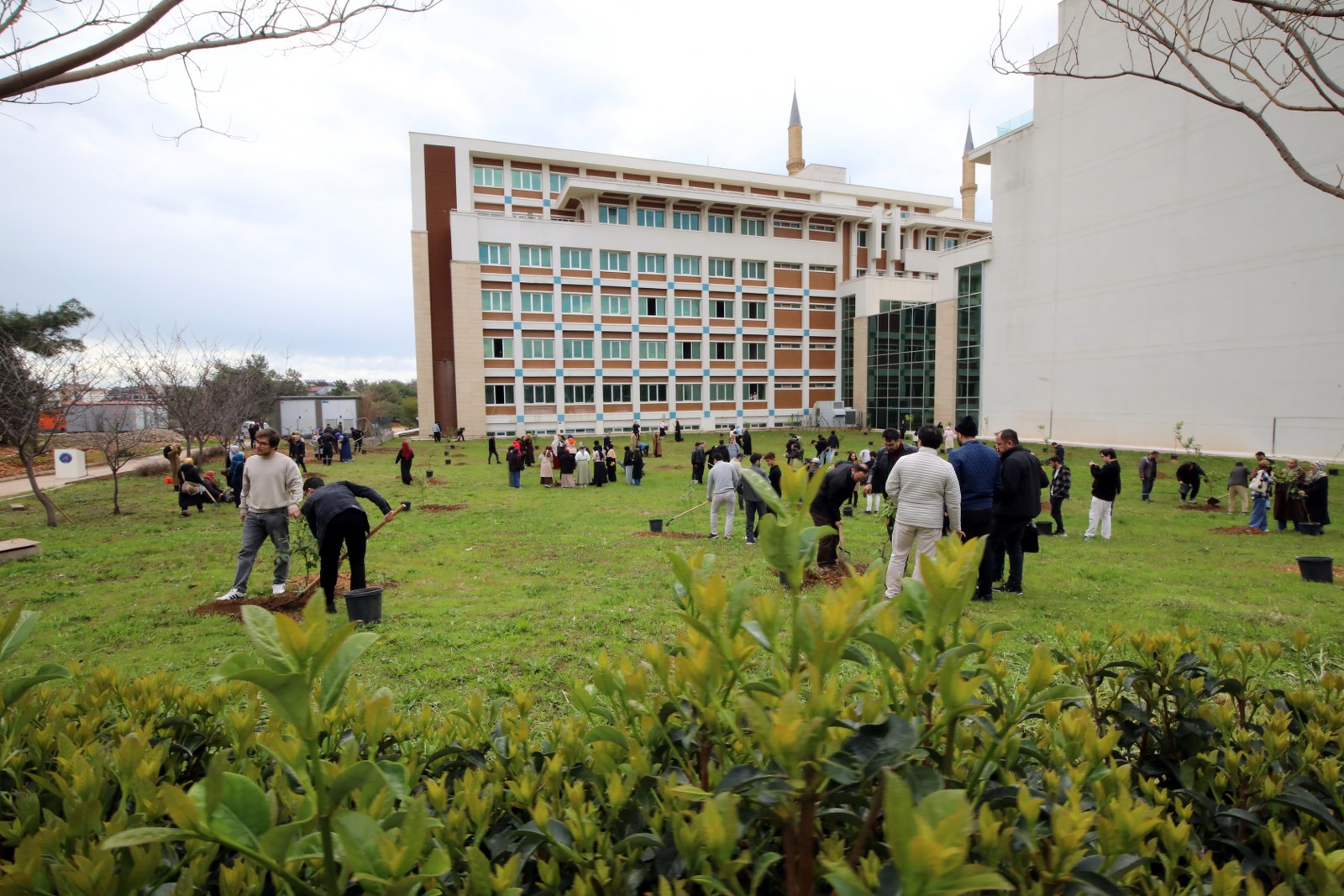 Akdeniz Üniversitesi Kampüsü mini bir orman ! - Toros Gazetesi