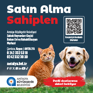 30.07.2026 - Antalya Büyükşehir Belediyesi Satın Alma Sahiplen Resmi Reklamıdır. - Toros Gazetesi
