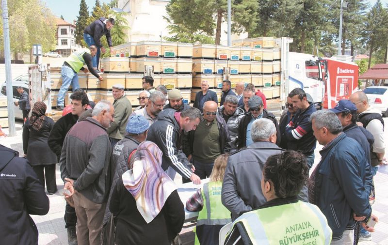91 Elmalılı arı üreticisine 273 ‘hibe’ arı kovanı - Toros Gazetesi
