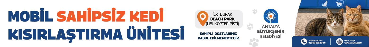 banner-ad-5