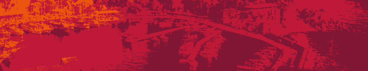 banner-ad-5